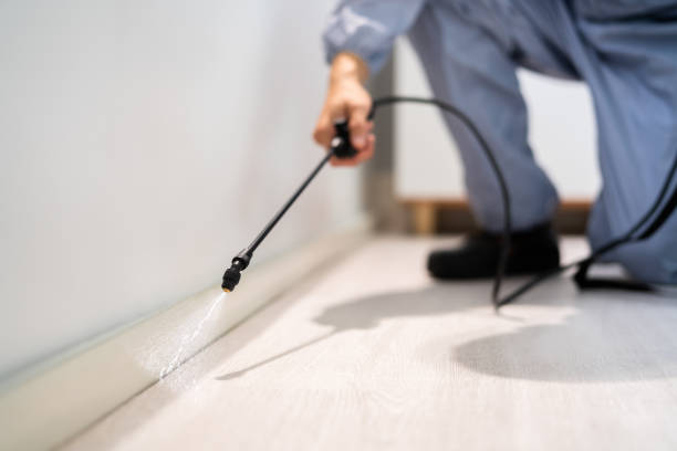 Licensed Termite Control service in Custer County County, NE - Nex Pest Control