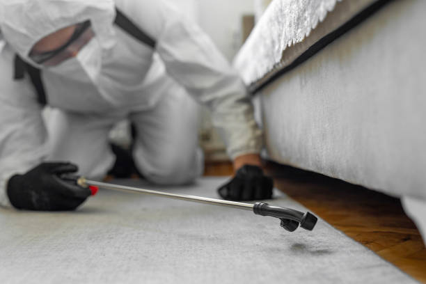 Professional Termite Control technician working in Custer County County, NE